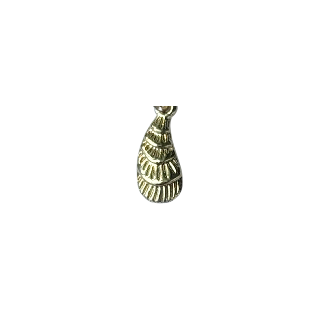 CHARMS: Ocean