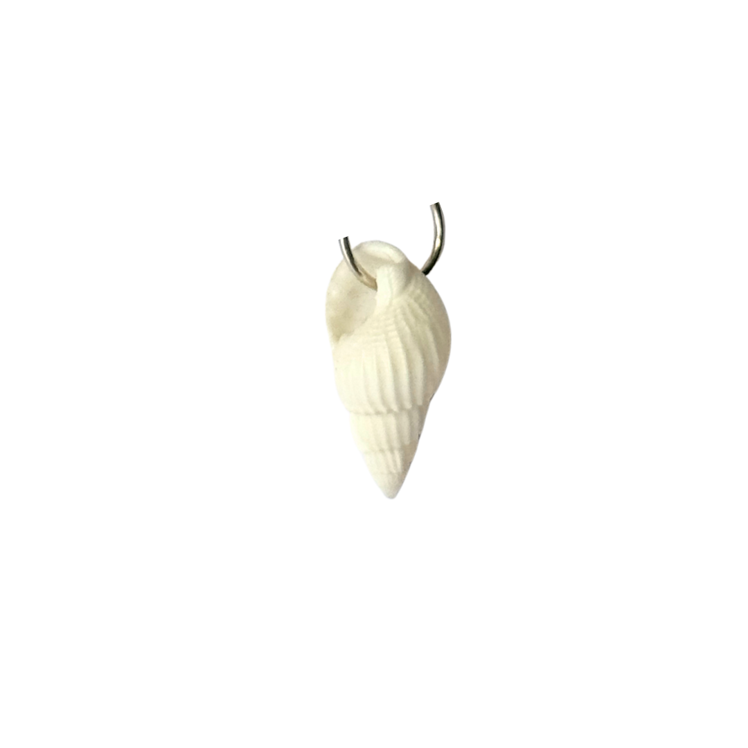 CHARMS: Ocean