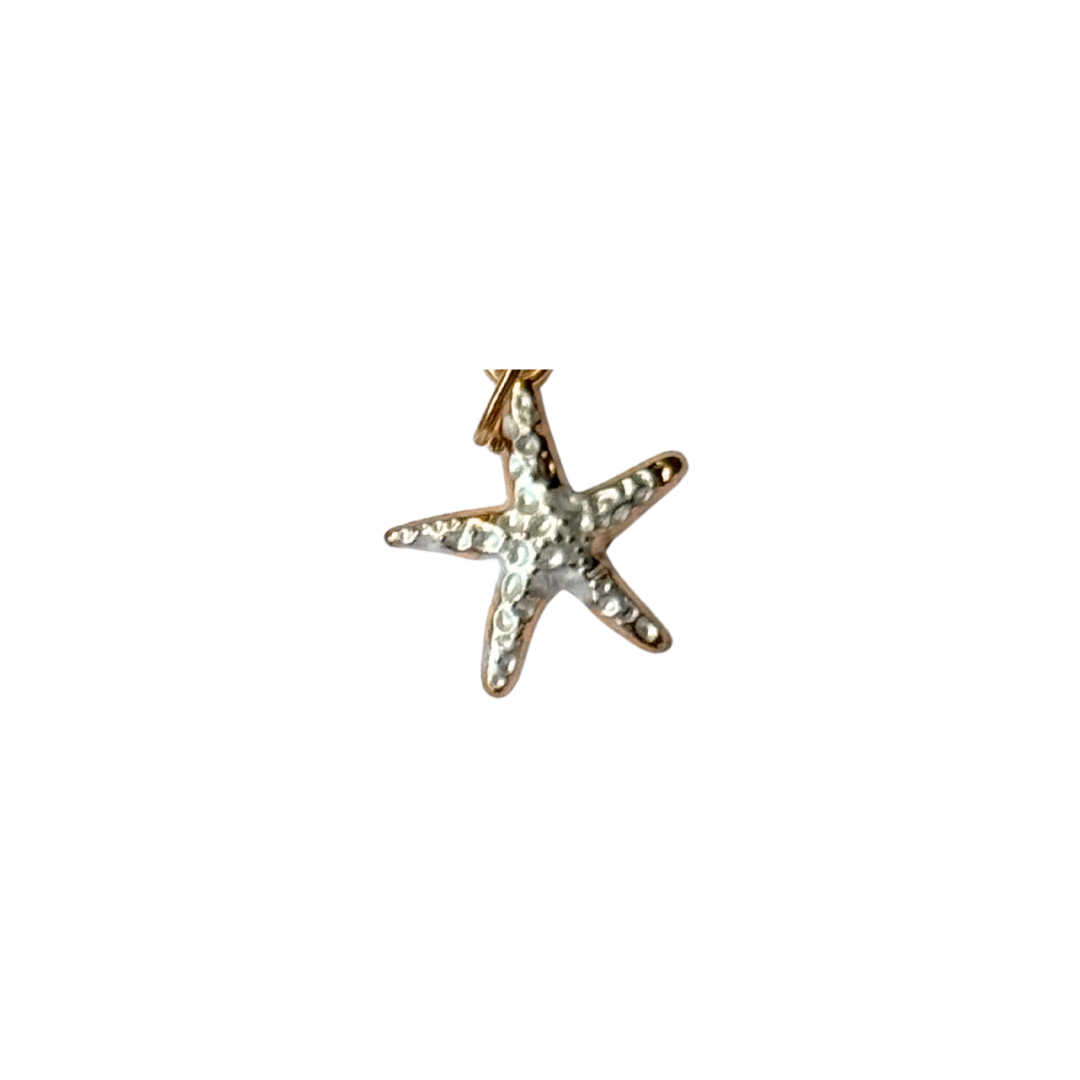 CHARMS: Ocean